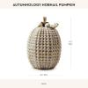 MACKENZIE-CHILDS Autumnology Resin Pumpkin, Halloween Pumpkin Decor, Hobnail Pumpkin