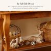 MACKENZIE-CHILDS Decorative Acorns, Resin Acorn Fall Decor for Kitchen and Home, Set of 2, Brown-and-White Mocha Check(Courtly Check and Stripe)