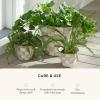 MACKENZIE-CHILDS Enamel Garden Pot, Decorative Pot for Plants, Outdoor Flowerpot Decor, Extra Large, Brown-and-White Mocha Check(Mocha Check)