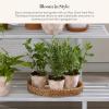 MACKENZIE-CHILDS Enamel Herb Pots, Small Plant Pots for Herbs or Flowers, Set of 3, Brown-and-White Mocha Check(Rosy Check)