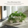 MACKENZIE-CHILDS Flowerpot, Decorative Garden Pot for Growing Plants, Brown-and-White Mocha Check(Mocha Check)
