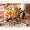 MACKENZIE-CHILDS Salt and Pepper Shaker Set, Ceramic Salt and Pepper Holders, Hocus Pocus Ghost(Trick or Treat Happy Jac)