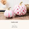 MACKENZIE-CHILDS Set of 2 Pumpkins, Resin Halloween and Fall Decor, Small and Medium, Mossy-Green-and-White Moss Stripe and Check(Bubblegum Stripe & Check)