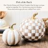 MACKENZIE-CHILDS Set of 2 Pumpkins, Resin Halloween and Fall Decor, Small and Medium, Mossy-Green-and-White Moss Stripe and Check(Mocha Stripe & Check)