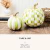 MACKENZIE-CHILDS Set of 2 Pumpkins, Resin Halloween and Fall Decor, Small and Medium, Mossy-Green-and-White Moss Stripe and Check(Moss Stripe & Check)