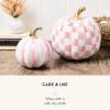MACKENZIE-CHILDS Set of 2 Pumpkins, Resin Halloween and Fall Decor, Small and Medium, Mossy-Green-and-White Moss Stripe and Check(Rosy Stripe & Check)