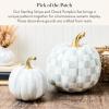 MACKENZIE-CHILDS Set of 2 Pumpkins, Resin Halloween and Fall Decor, Small and Medium, Mossy-Green-and-White Moss Stripe and Check(Sterling Stripe & Check)
