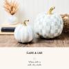 MACKENZIE-CHILDS Set of 2 Pumpkins, Resin Halloween and Fall Decor, Small and Medium, Mossy-Green-and-White Moss Stripe and Check(Sterling Stripe & Check)