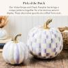 MACKENZIE-CHILDS Set of 2 Pumpkins, Resin Halloween and Fall Decor, Small and Medium, Mossy-Green-and-White Moss Stripe and Check(Violet Stripe & Check)
