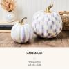 MACKENZIE-CHILDS Set of 2 Pumpkins, Resin Halloween and Fall Decor, Small and Medium, Mossy-Green-and-White Moss Stripe and Check(Violet Stripe & Check)