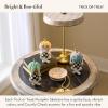 MACKENZIE-CHILDS Set of 3 Resin Pumpkin Skeletons, Halloween and Fall Pumpkin Decor, Trick or Treat