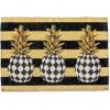 MACKENZIE-CHILDS Entrance Mat, Decorative Outdoor Front Door Mat, Coir Door Mat, 24″ x 36″, Squirrel(Pineapple)