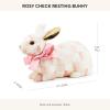 MACKENZIE-CHILDS Bunny Figurine, Rabbit Figurine Decoration for Spring, Resting Royal Check(Rosy Check)