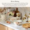 MACKENZIE-CHILDS Everyday Bowl, Serving Bowl for Entertaining, Small, Wild Rose White(White Wild Rose)