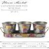 MACKENZIE-CHILDS Galvanized Herb Pots with Tray, Metal Herb Planters, Set of 3, Flower Market(Flower Market)