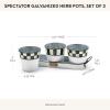 MACKENZIE-CHILDS Galvanized Herb Pots with Tray, Metal Herb Planters, Set of 3, Flower Market(Spectator Galvanized 2022)