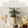 MACKENZIE-CHILDS Tabletop Ceramic Planter with Stand, Decorative Pot for Indoor Plants, Gray-and-White Sterling Check(Mocha Check)