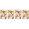 MACKENZIE-CHILDS Set of 4 Tumbler Glasses, Wide Drinking Glasses, Wild Rose