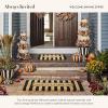 MACKENZIE-CHILDS Double-Door Entrance Mat, Decorative Outdoor Coir Doormat, Double Front-Door Mat and Welcome Mat, Welcome Checked(Awning Stripe)