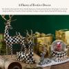 MACKENZIE CHILDS Snow Globe, Christmas Decor for Living Room, Holly Bear(Dashing through The Snow)