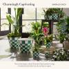 MACKENZIE-CHILDS Set of 3 Enamel Herb Pots, Small Plant Pots for Herbs or Flowers, Purple-and-White Violet Check(Emerald Check)