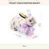 MACKENZIE-CHILDS Violet Check Standing Bunny Figurine(Violet Check)