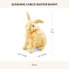 MACKENZIE-CHILDS Sunshine Check Buster Bunny Figurine
