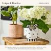 MACKENZIE-CHILDS Pot Climber, Decorative Indoor and Outdoor Planter Hanging Decor, Pink-and-White Rosy Check Funny Bunny(Courtly Check Butterfly)