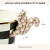 MACKENZIE-CHILDS Pot Climber, Decorative Indoor and Outdoor Planter Hanging Decor, Pink-and-White Rosy Check Funny Bunny(Mocha Check Squirrel)
