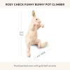 MACKENZIE-CHILDS Pot Climber, Decorative Indoor and Outdoor Planter Hanging Decor, Pink-and-White Rosy Check Funny Bunny(Rosy Check Funny Bunny)