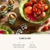 MACKENZIE-CHILDS Melamine Serving Bowl, Large Decorative Bowl, 16-Cup Capacity, Watermelon(Watermelon)