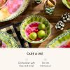 MACKENZIE-CHILDS Set of 4 Melamine Bowls, Decorative Salad and Soup Bowls, Small, Watermelon(Watermelon)