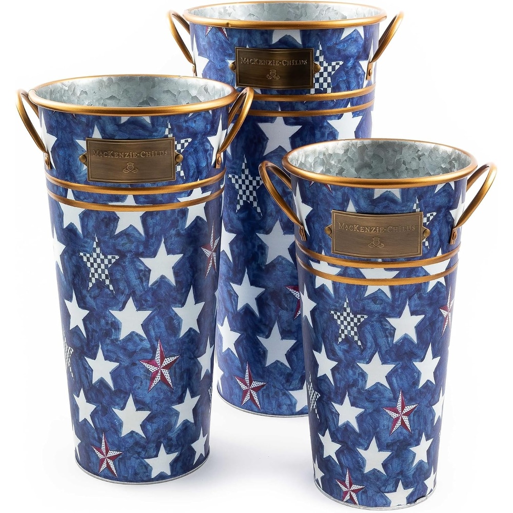 image:imageMACKENZIECHILDS Galvanized Flower Buckets Decorative Metal Buckets Royal Star Set of 3