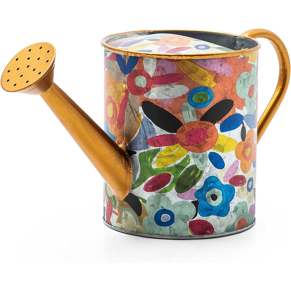 image:imageMACKENZIECHILDS Watering Can Outdoor and Indoor Watering Can for Plants Avant