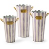 Violet Stripe